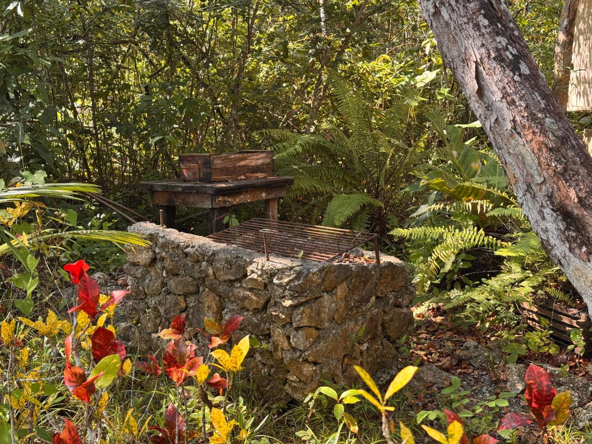 Finca Tatin Hotel Izabal Εξωτερικό φωτογραφία